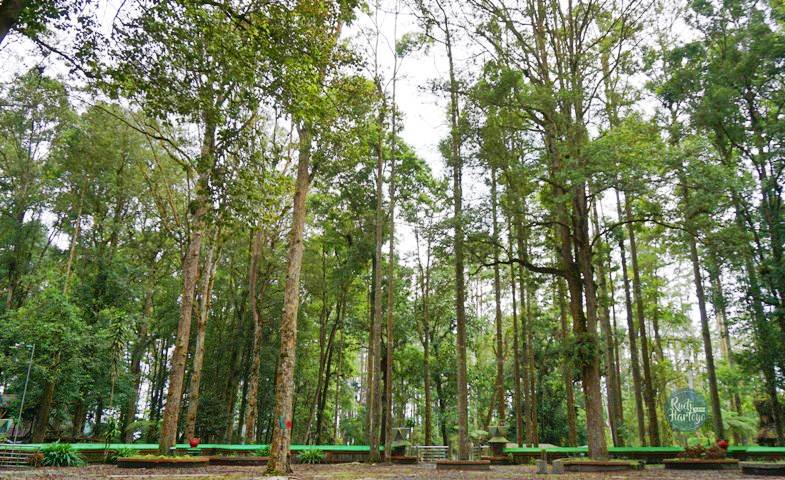 Taman Hutan Raya (Tahura) Berastagi yang Kini Terabaikan